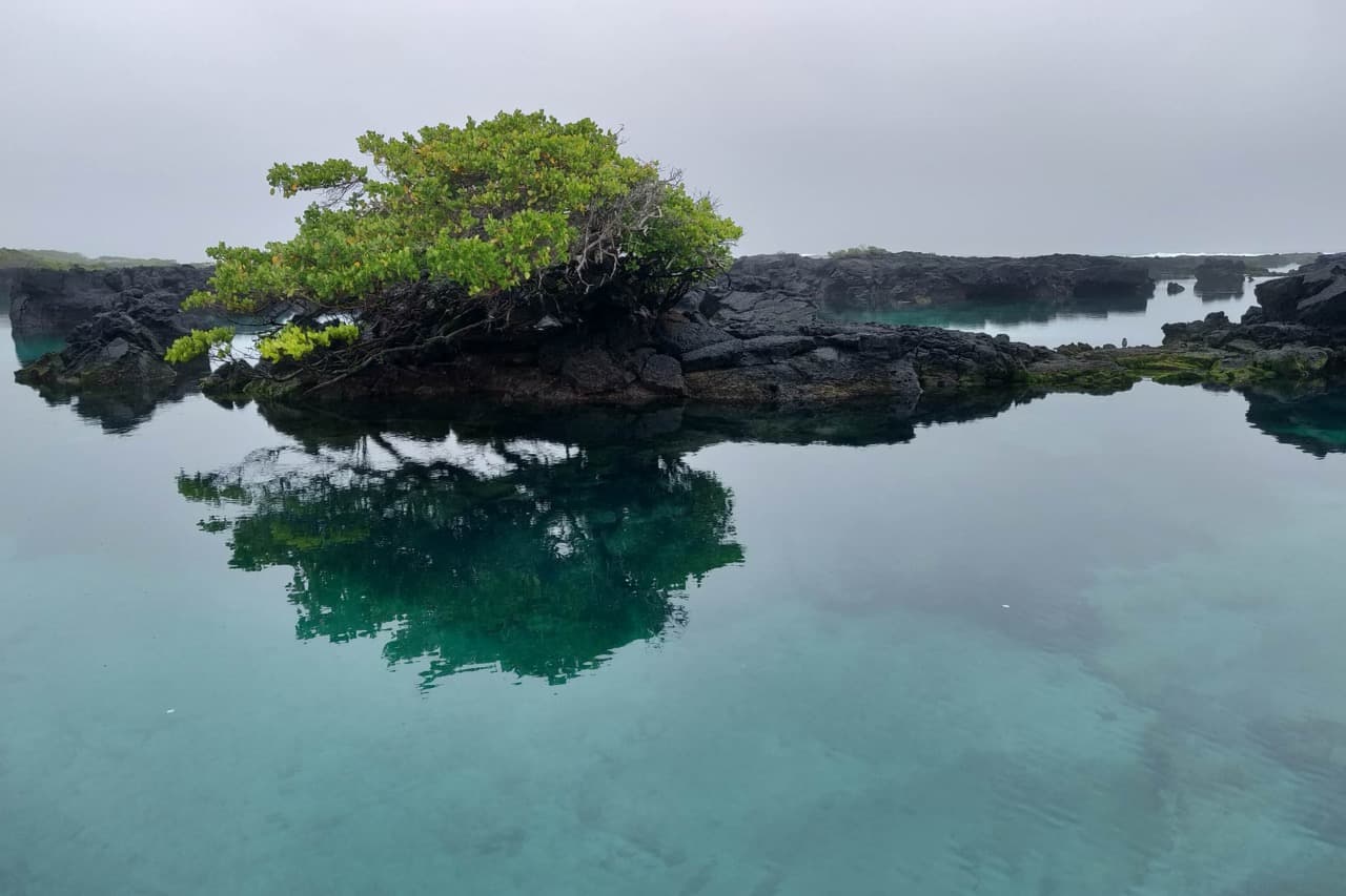 Cabo Rosa - Galapagos